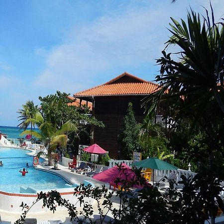Mangos Jamaica Adults Only Hotel Falmouth Kültér fotó