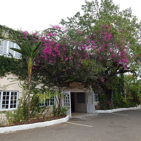 Mangos Jamaica Adults Only Hotel Falmouth Kültér fotó