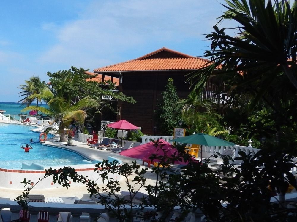 Mangos Jamaica Adults Only Hotel Falmouth Kültér fotó