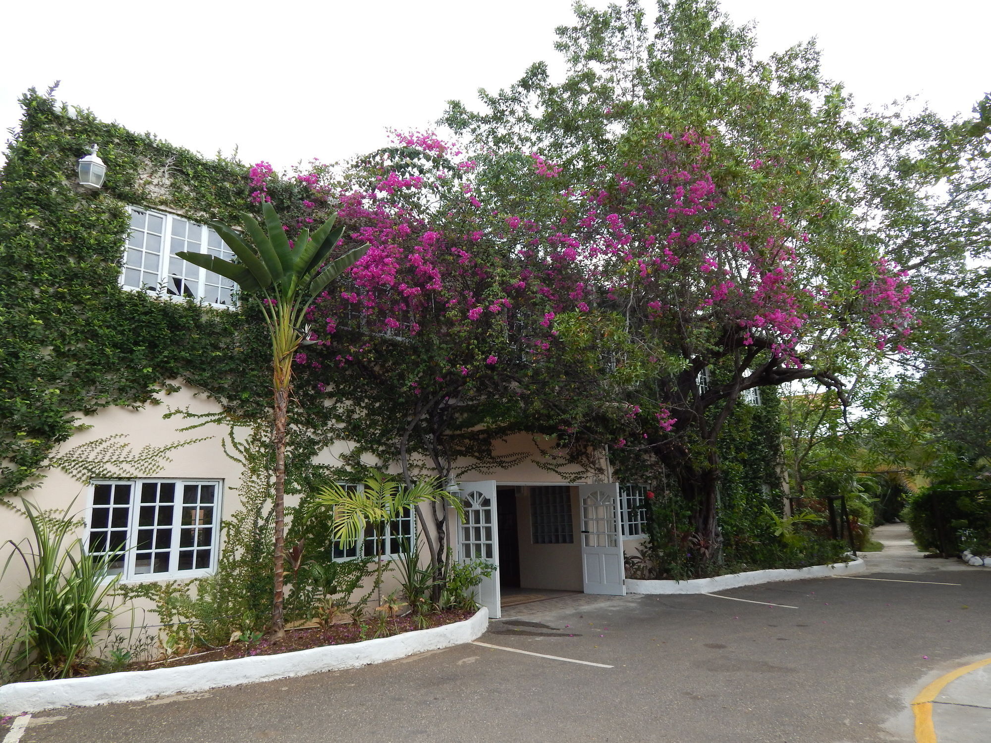 Mangos Jamaica Adults Only Hotel Falmouth Kültér fotó
